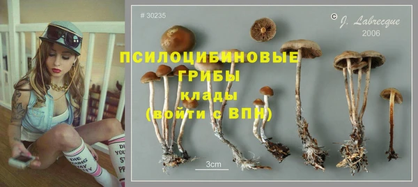 прущий лед Аркадак