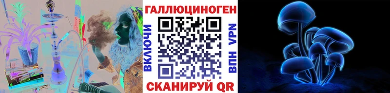 мега как войти  Арсеньев  Галлюциногенные грибы Cubensis 